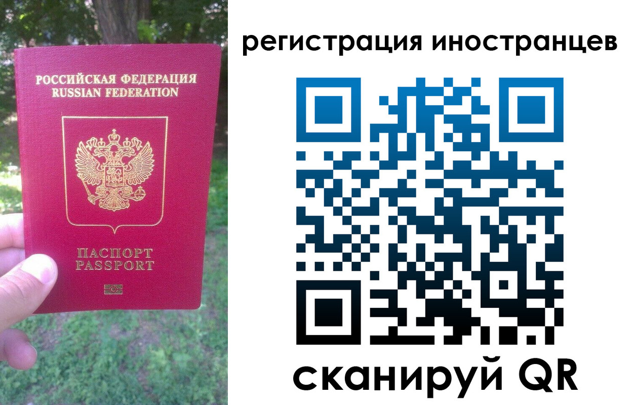 прописка в Щиграх