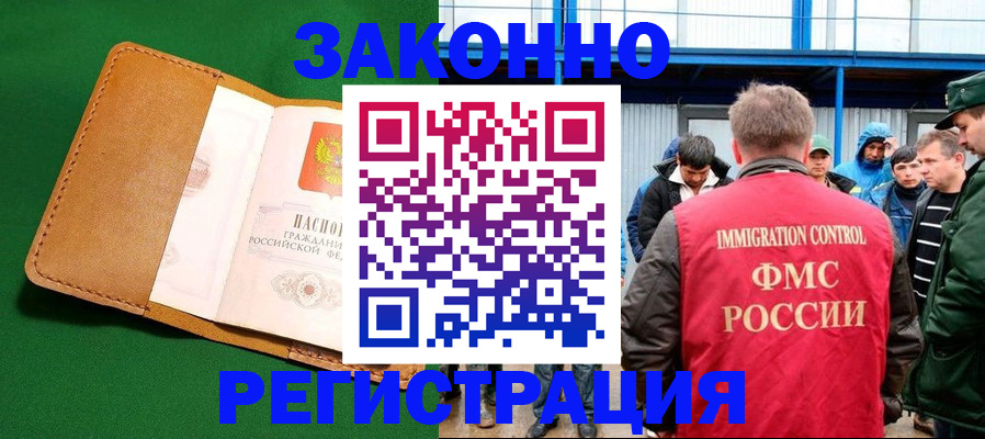 прописка 2025 в Щиграх